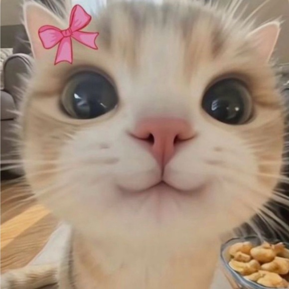 bonitajhocelyn